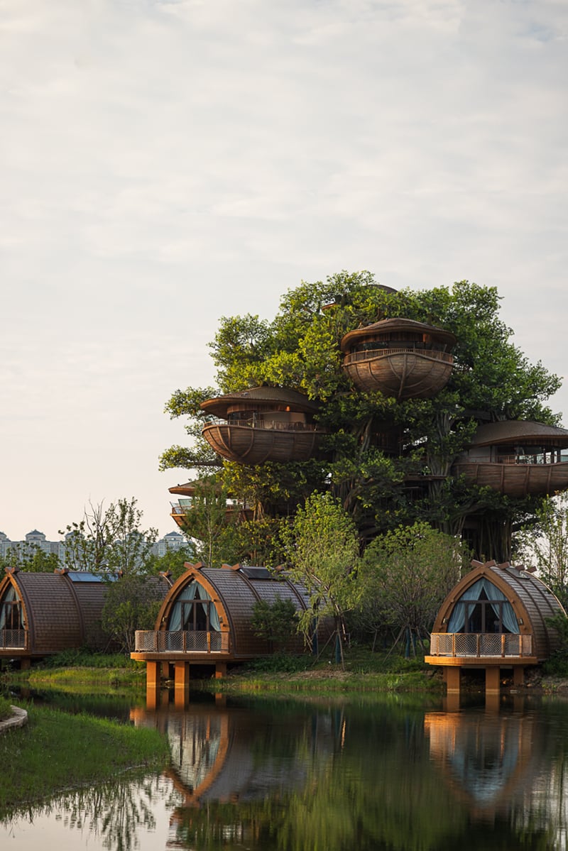 国际认可！武汉城建开元森泊度假乐园斩获2025伦敦设计奖铂金奖